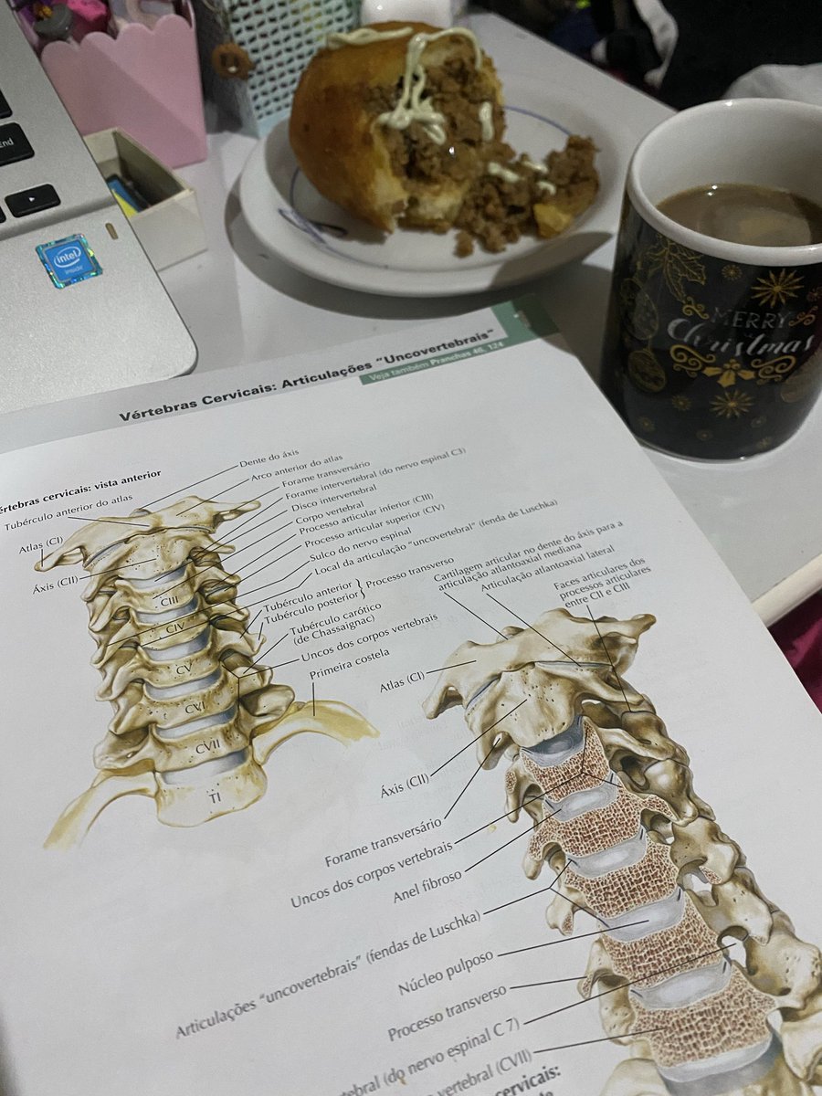 isa⁷ é med prouni 100%🩺 tweet media