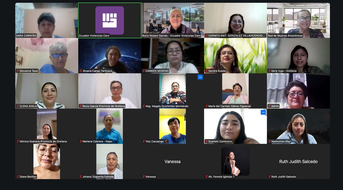 Realizamos una reunión preparatoria con delegadas de la Red de las distintas provincias, para coordinar su participación en los talleres de  actualización del Plan Integral para la Amazonía 2025–2029. Esta actividad contó con la asistencia técnica del Programa PreViMujer III.