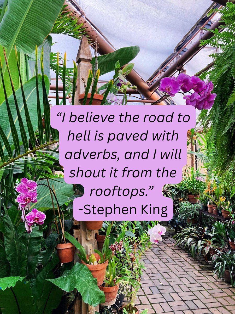 Thursday writing motivation. Quote is from King’s fabulous book “On Writing.” A must read for all writers! #stephenking #WritingCommunity #authors #writingtips #quoteoftheday