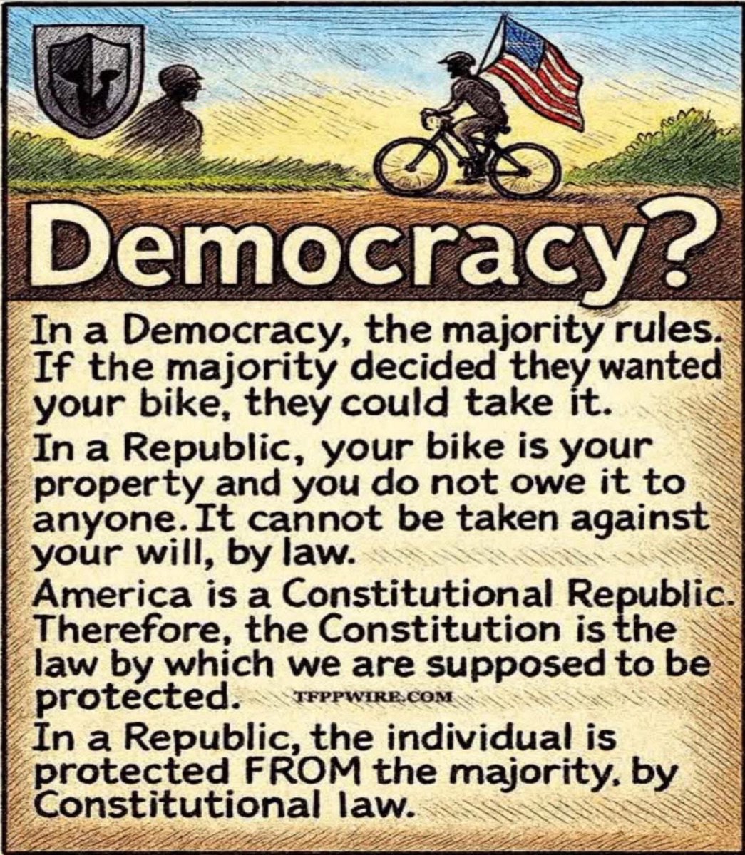 BrandoRepublic's tweet image. America is a Constitutional Republic. 
Not a hard concept. 🇺🇸