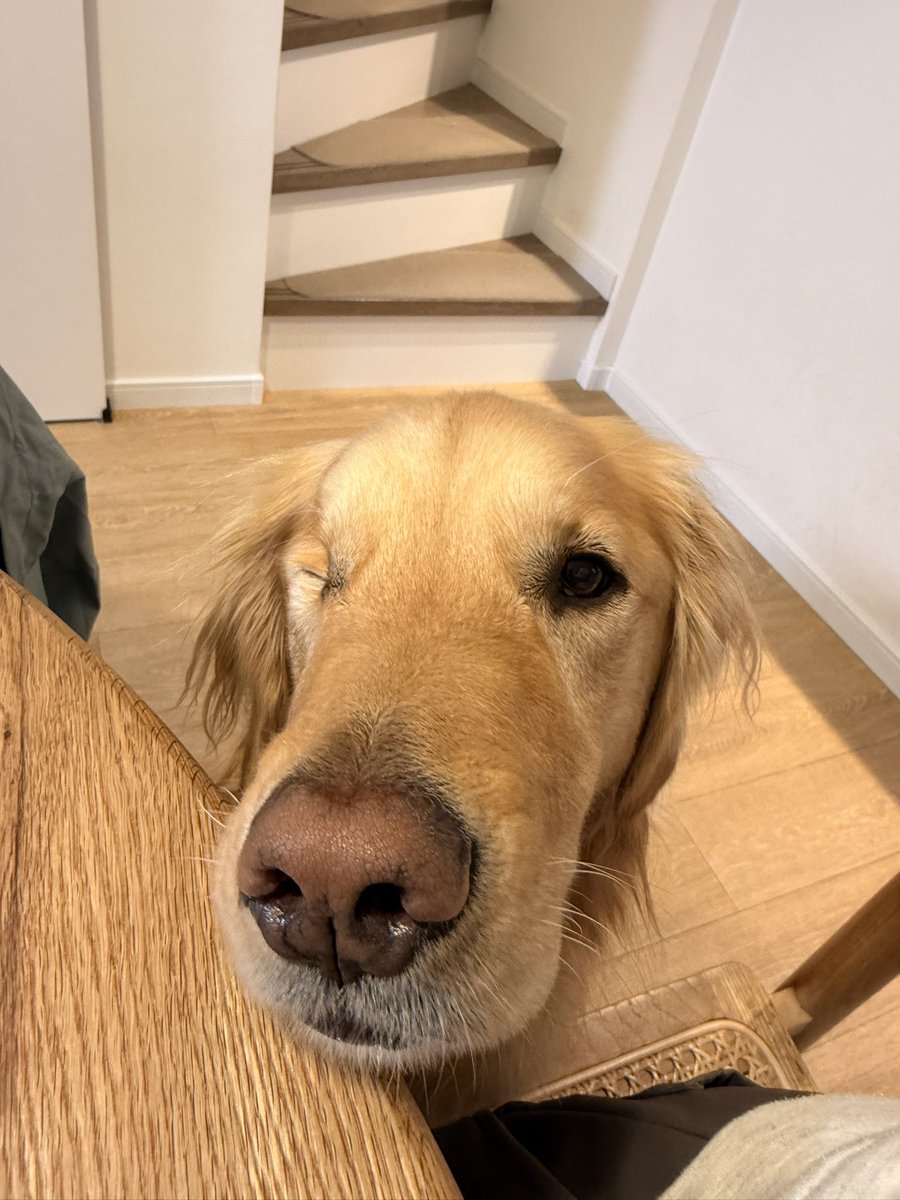 むぎとエール (@mugimeshi05) / Posts / X