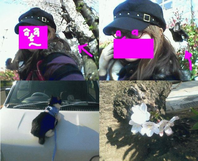 まりん tweet media