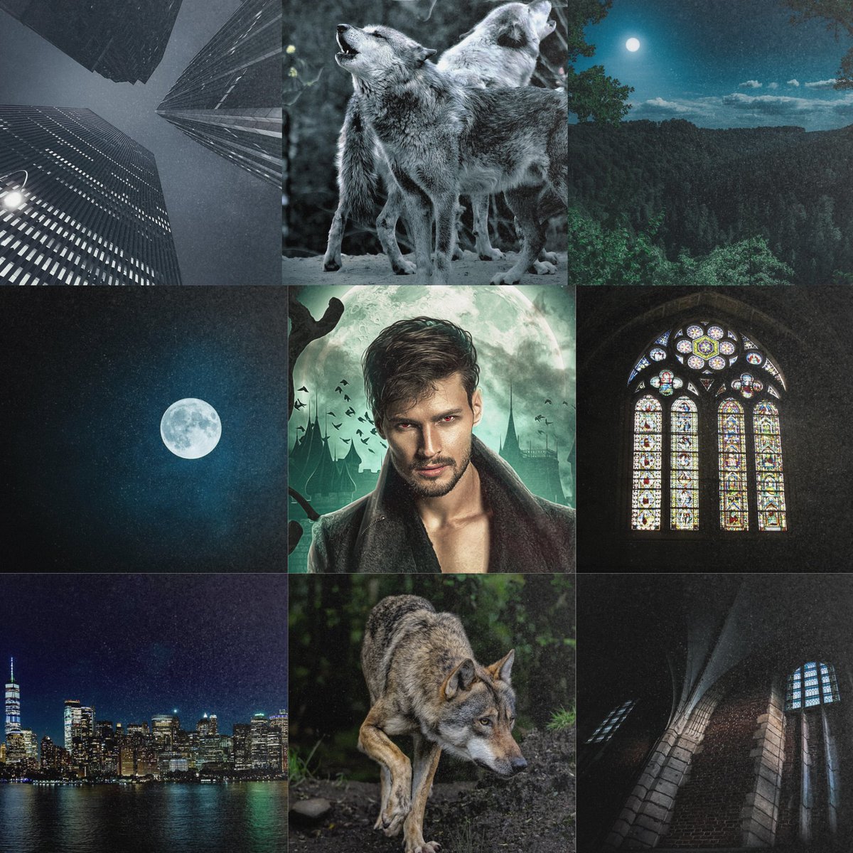 Mood board time! Alucard the wolf-shifting vampire. His bark is definitely as big as his bite!

#moodboardinspo #vampireromance #DraculasSon #TheBloodbornSeries #Bloodheart