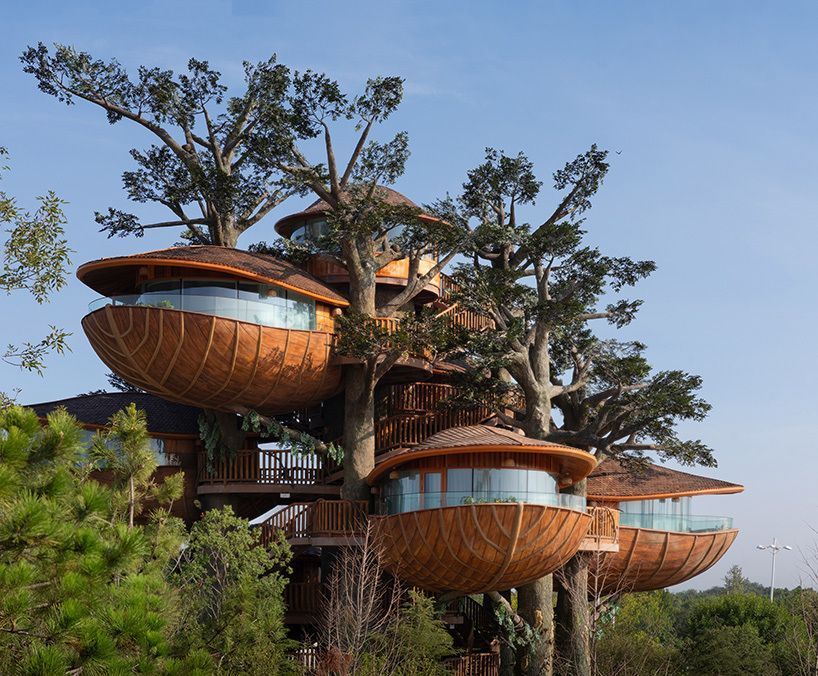 designboom's tweet image. modular forest nests by doarchiwow propose model for prefabricated eco-resorts in china designboom.com/architecture/m…