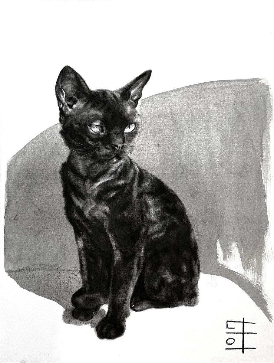 david_jamin's tweet image. C’est ce week-end!
Rdv à Mulhouse pour la dédicace du tout nouveau livre et l’exposition des dernières œuvres de David et de Lola sur le stand de la galerie ATO
Au plaisir de vous accueillir 🌞

ato-galerie.fr/art3f-mulhouse…