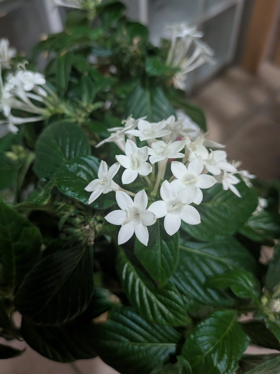 おはようございます😼