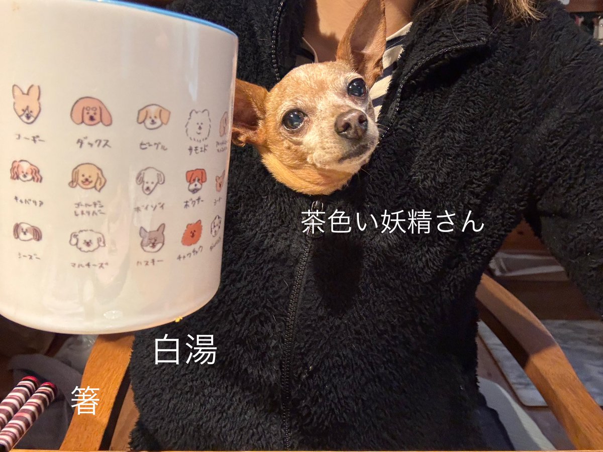 龍ちゃんズとよっちゃんみっちゃん (@ryuchan123bro) / Posts / X