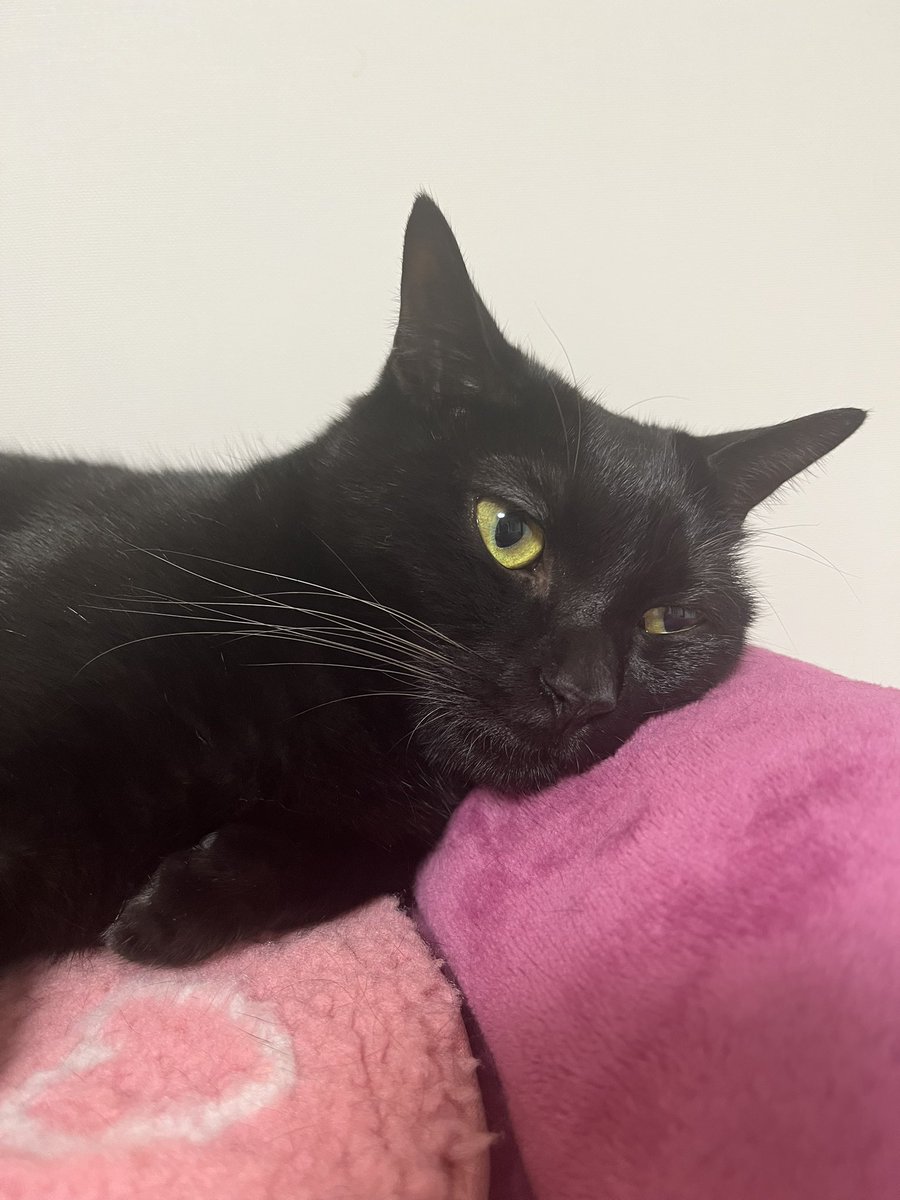 五月と水月と葉月 on X