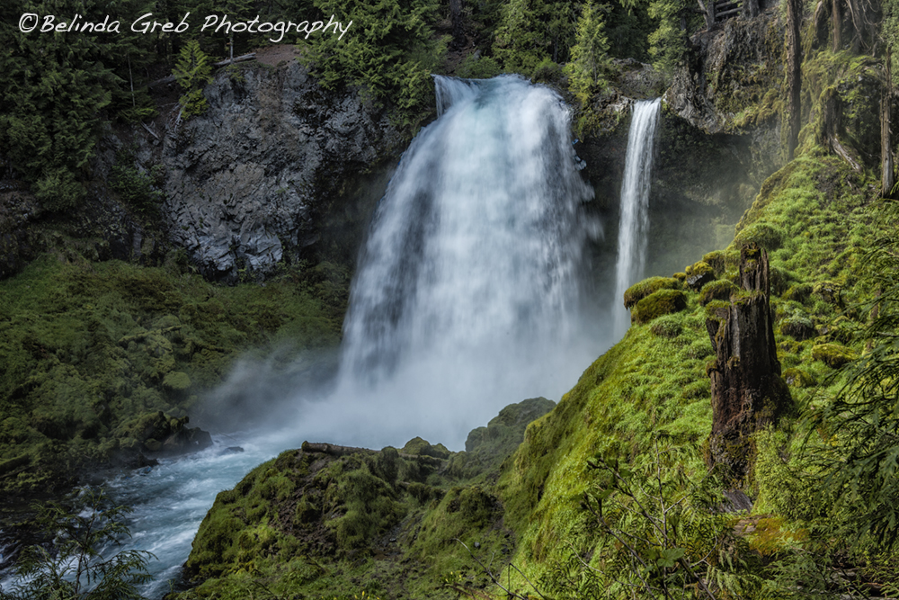 One of the beautiful waterfalls in Oregon - Sahalie Falls 
©Belinda Greb Photography
Msg for link for prints/product
#photography