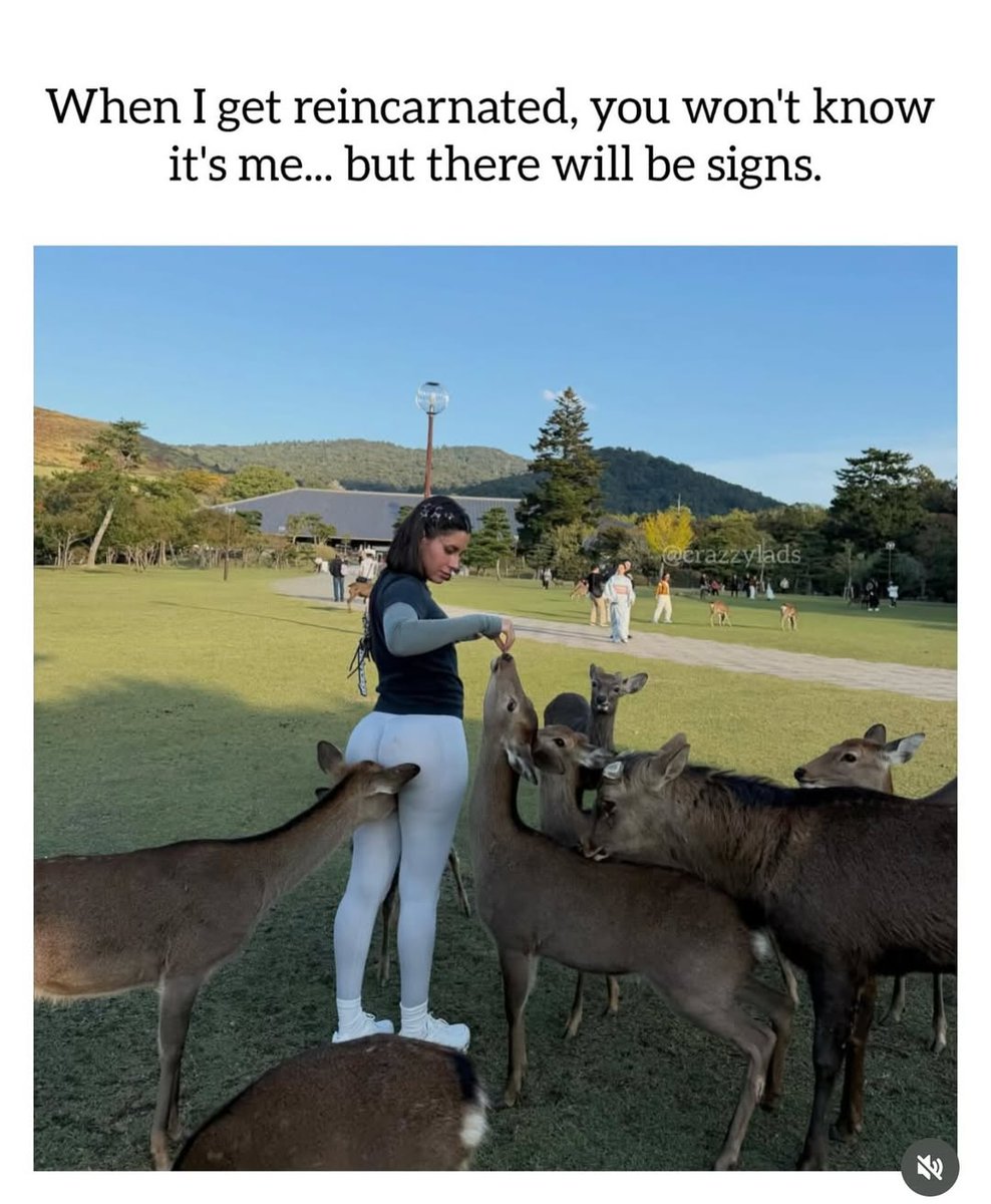 Mens_Corner__'s tweet image. 