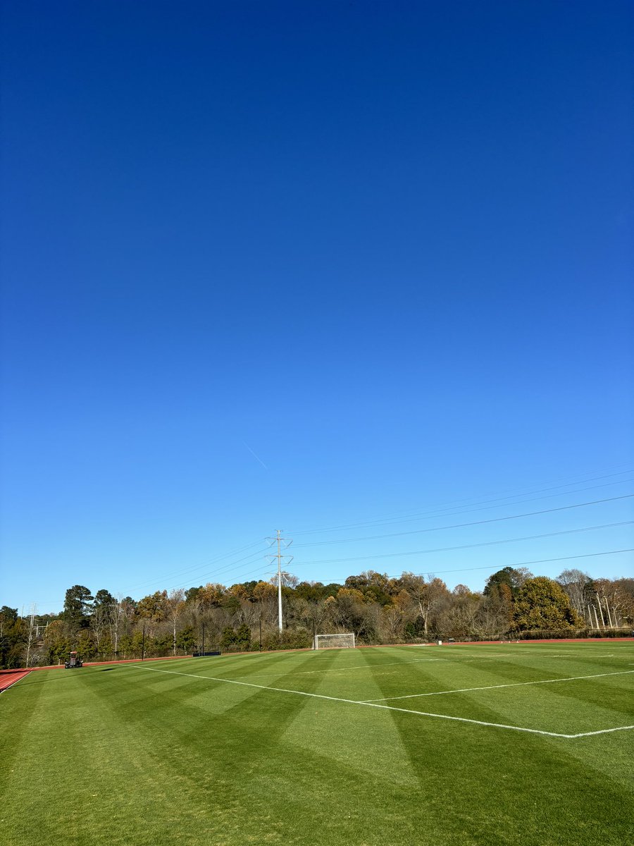 Sports Turf Services tweet media