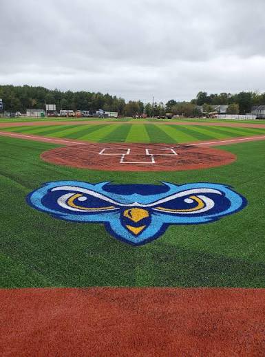 Michael Spalding tweet media