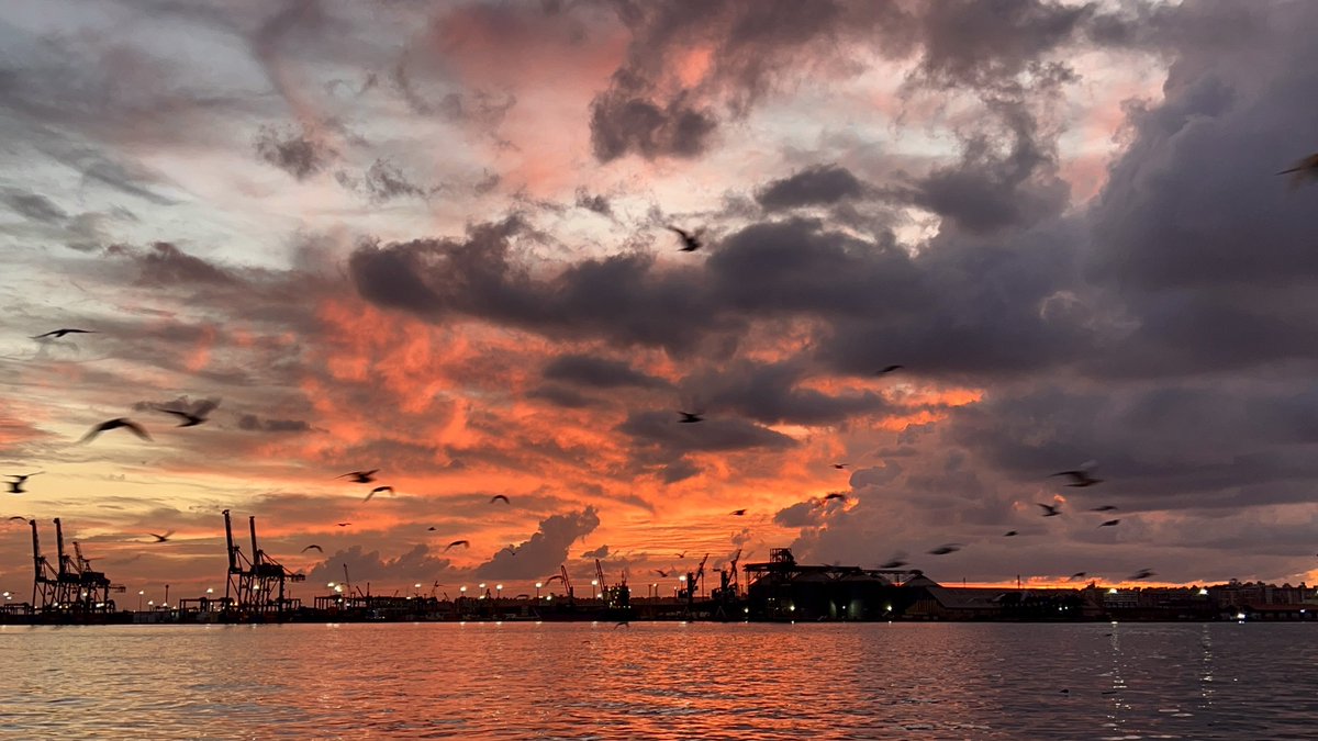 ١٢/١١/٢٠٢٥
سبحانك يارب 
سبحان من خلق فأبدع، وصوّر فأتقن