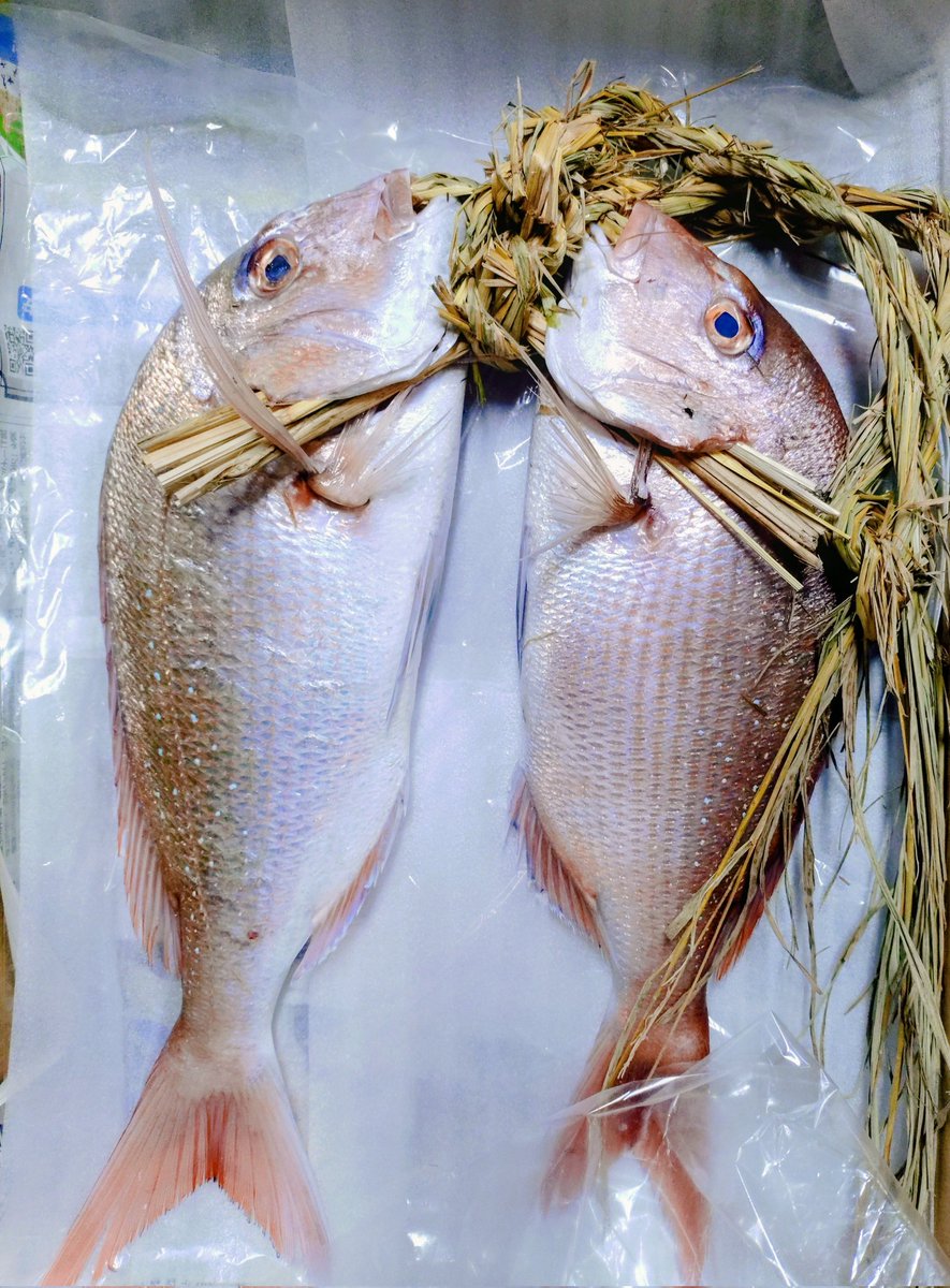 さかなやさん専用ページ 魚魚屋