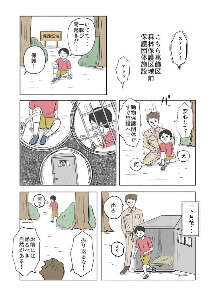 こちほご 
