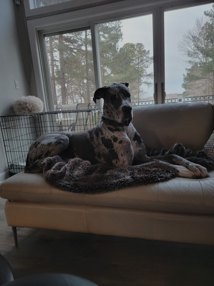 GH0STSCOPE's tweet image. ᅠ
ᅠ
ᅠ
ᅠ

                     ᅠ
ᅠ

ᅠ ͏ ͏ ͏ ͏ ͏ ͏ ͏ ͏ ͏ ͏