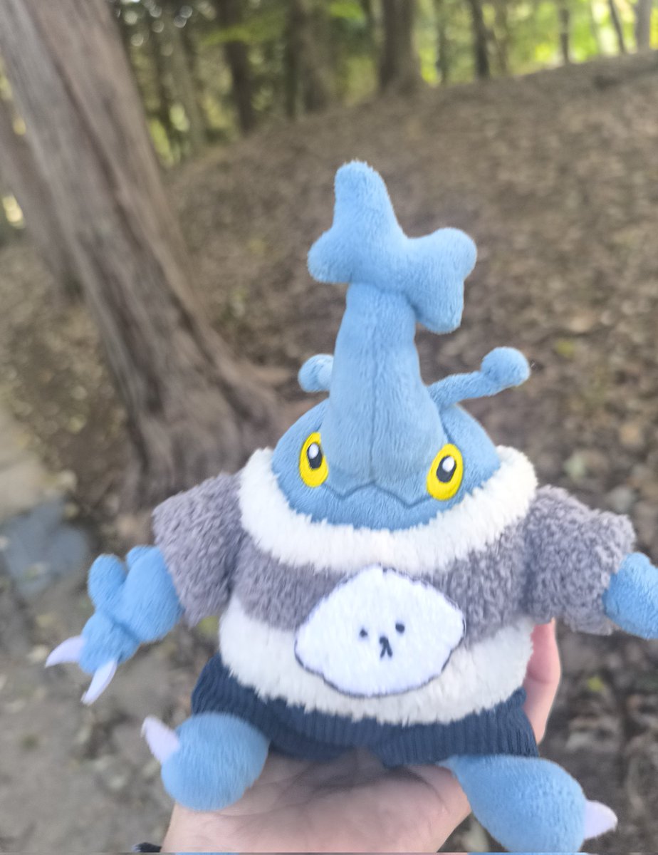 おはよ！朝の散歩するよ( ˶'ᵕ'˶)🌞 #ポケモンfit #ヘラクロス