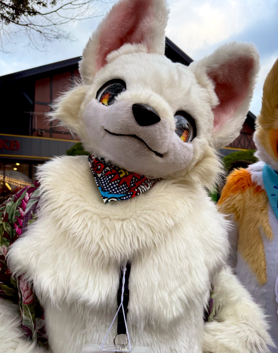 純君にやっと会えた。
めっちゃかわいい❤️
#Kemocon18