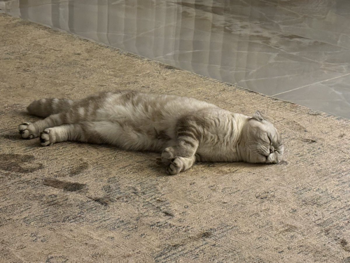 Az yan geleyim dedikten sonra çektiğim 5 saatlik derin uyku