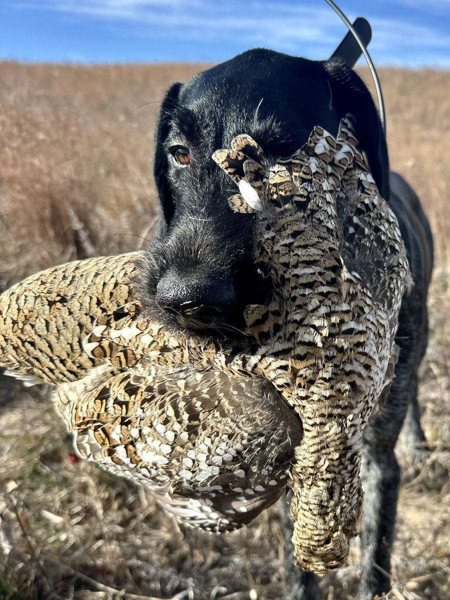 We’re back at it hassling the sharpies 🤣