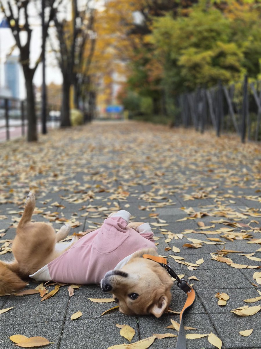 노릇노릇하다 노릇노릇한
뒹굴뒹굴하다 뒹굴뒹굴한
