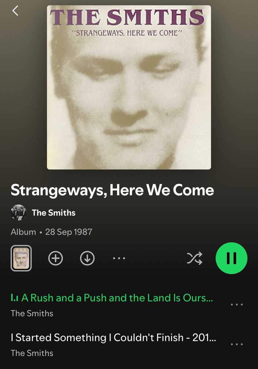 Matt 💫 tweet media