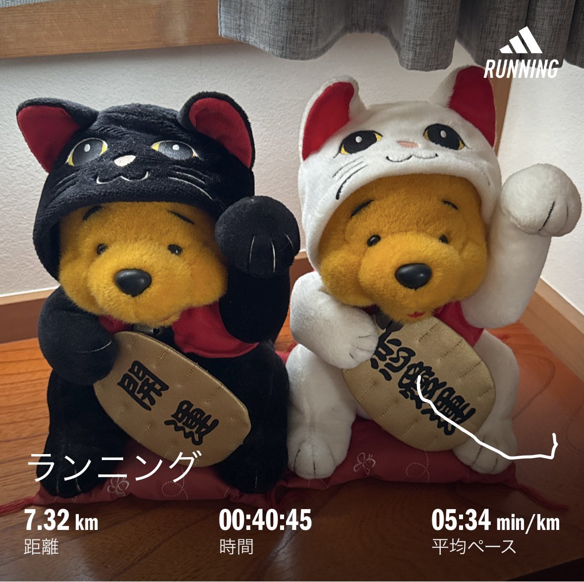 朝ラン
今朝は1℃
寒い

うちには猫を被ったクマがあります
26年くらい前に購入したんですが 当時から運を欲しがっていたようです
ずっと大切にしてあげてるのに運が回ってこないんですが…