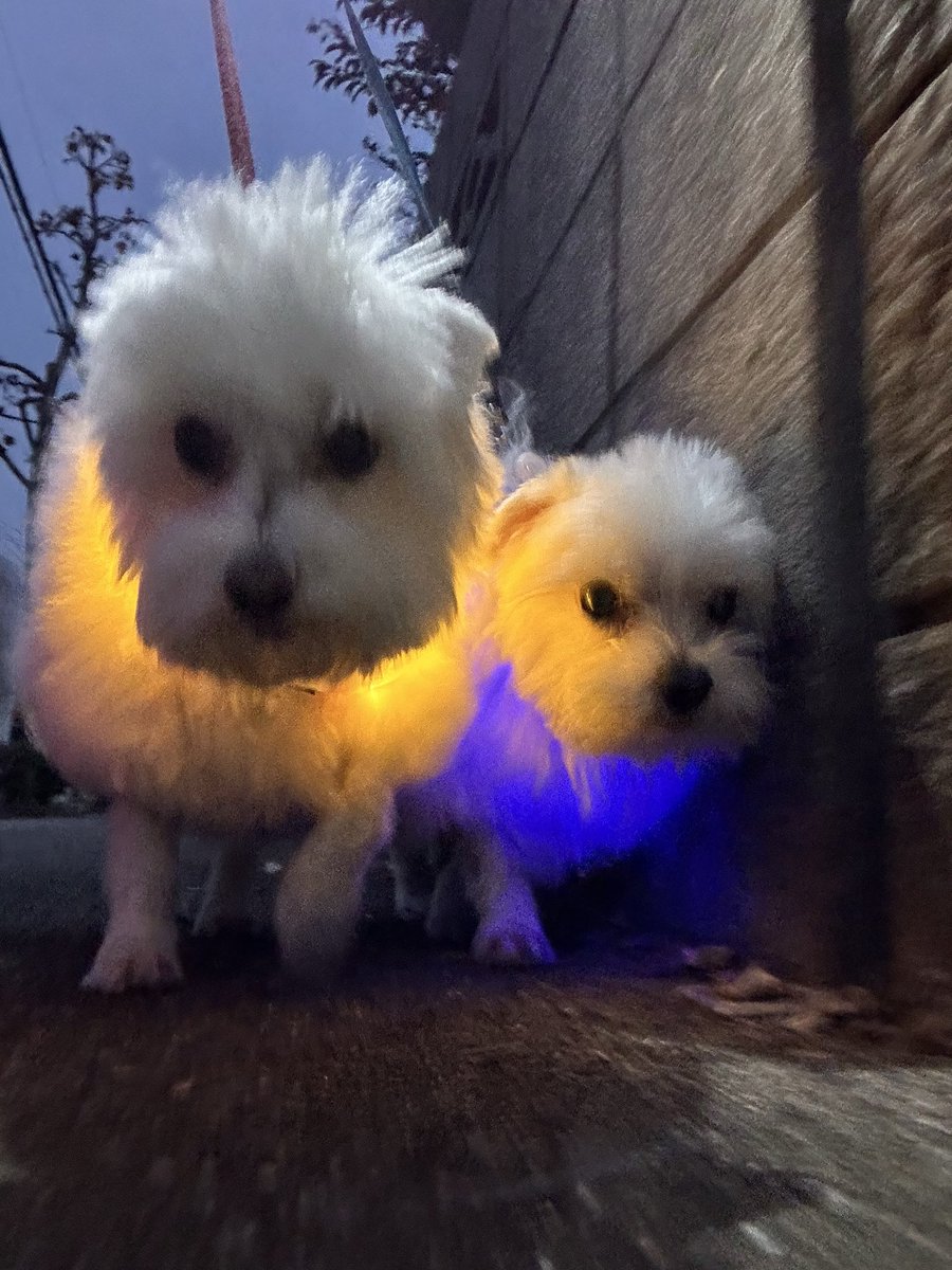 キリッとしてます‼︎