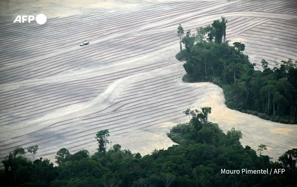 Bird’s-eye view of Amazon deforestation.

AFP’s Mauro Pimentel photographs deforested areas and logging trucks carrying wood in the rainforest close to Belem, Para State, Brazil, the Amazon town hosting the COP30 UN Climate Change Conference