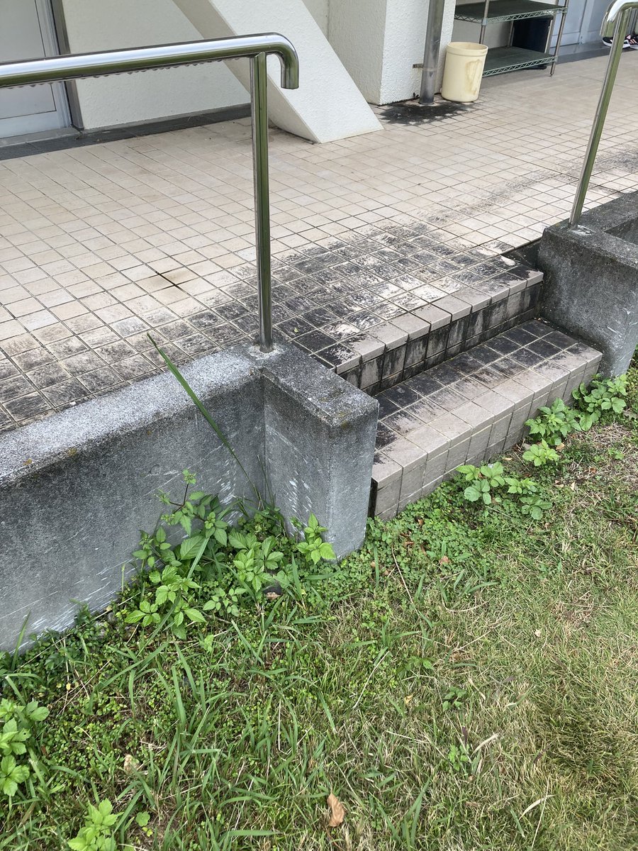 ここにコメダのモンスターボール置いてくれた人ありがとう