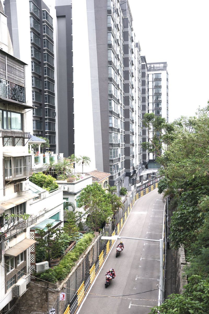 Stephen Davison tweet media