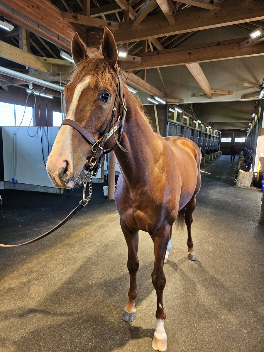 朱音(あかね） (@sixyana1) / Posts / X