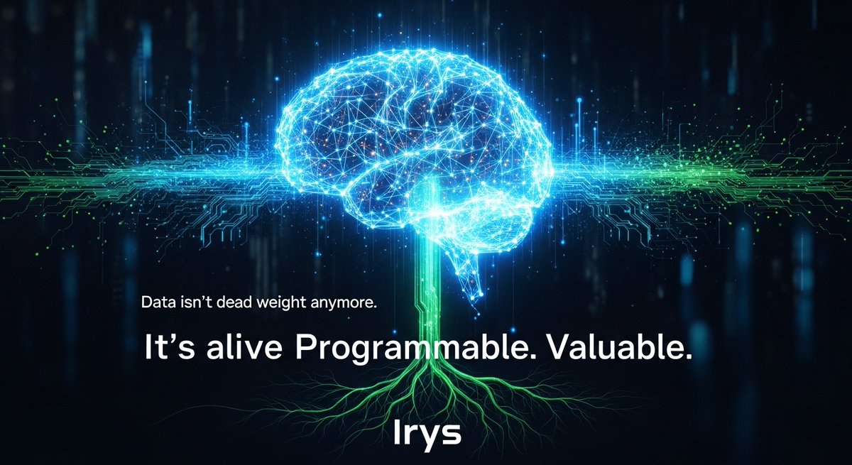 XRP378's tweet image. Data is not dead weight anymore.

It’s alive. Programmable. Valuable.

@irys_xyz  transforms stored data into an active force 
powering apps AI and the entire onchain ecosystem.

This is the data revolution. ⚡

#Irys #ProgrammableData #OnchainFuture #Web3