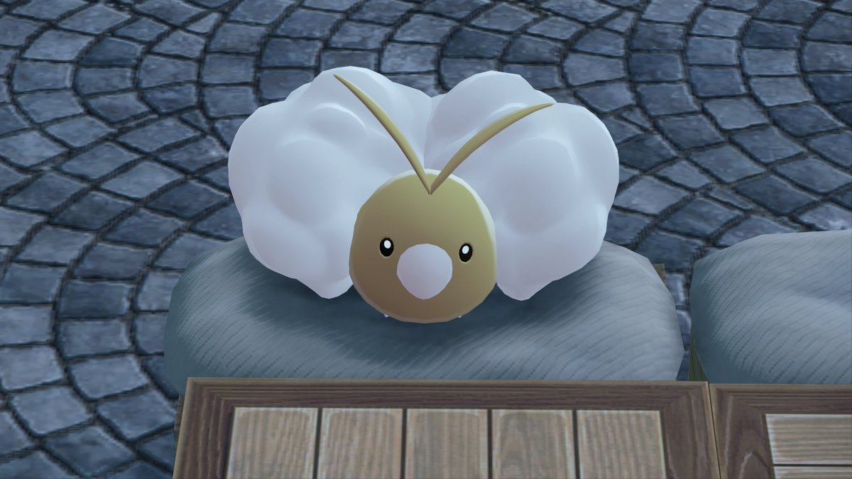 🥺🥺🥺🥺🥺🥺🥺🥺