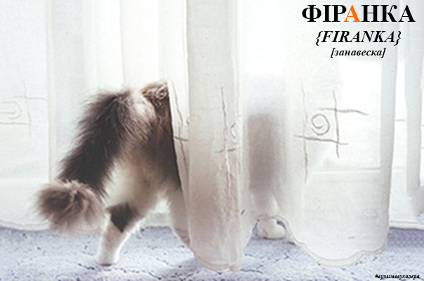 Слова дня: фіра́нка (ж.р) = заслона з тонкага матэрыялу або з карунак на вокны, дзьверы і пад.; [рас. занавеска] #вучымовухалера #белмова