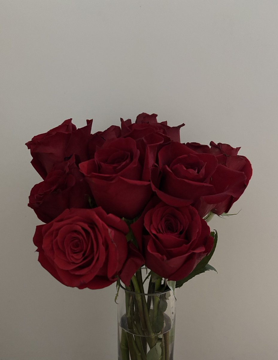 Whitney00085480's tweet photo. I love getting flowers, especially red roses. A very grateful thank you to a special someone! ❤️🌹❤️🌹 https://t.co/PE1H4HOP9b