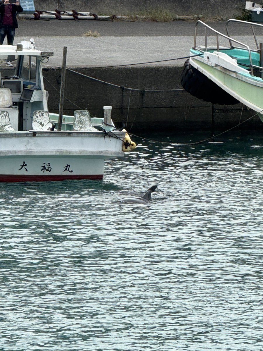 さるきち1号（岡本吉起） (@sasukebusaiku) / Posts / X