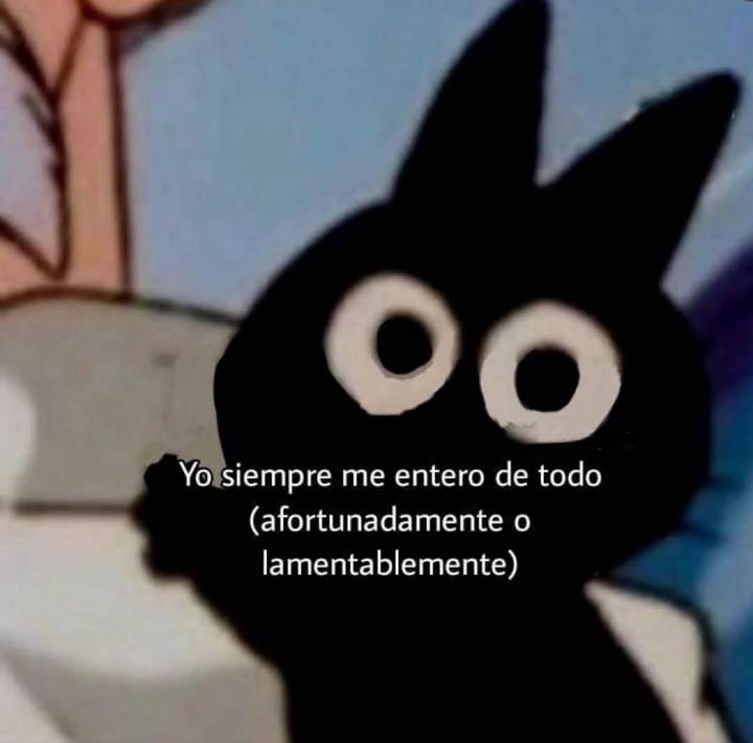 Animalesaprieto's tweet image. 