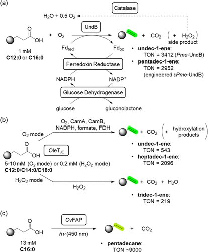 DebasisDas_Lab tweet media