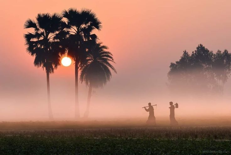 जिस तरह फल बीज से हमेशा बड़ा होता है,
उसी तरह परिणाम भी कर्मों से बड़ा होता है!