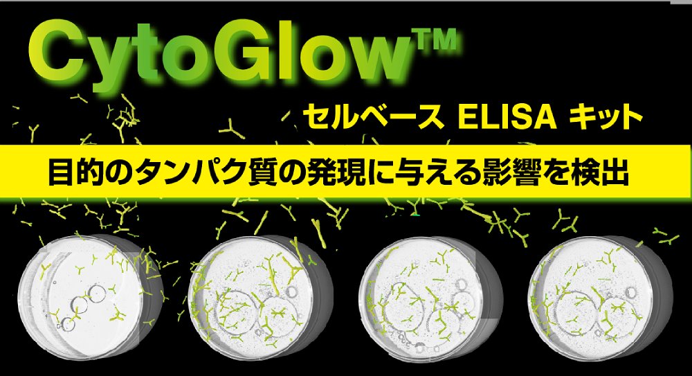 CosmoBio_JPN's tweet image. 🚀CytoGlow™ セルベース ELISAキット☄

細胞内で、薬物・代謝物・処理条件などが
タンパク質発現に与える影響を検出✨
2,000品以上をラインナップ😍❣

🔹サンプル調製不要（接着／浮遊細胞対応）
🔹5,000 cells/well〜で測定OK
🔹高感度＆低バックグラウンドで優れたS/N比

詳しくは👇…