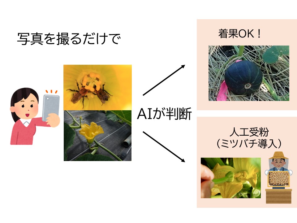 【 ＃出展者PR 】委託プロジェクト「農業生産に不可欠な生態系サービスの効率的な評価技術の開発」成果紹介
みどりの食料システム戦略ゾーン