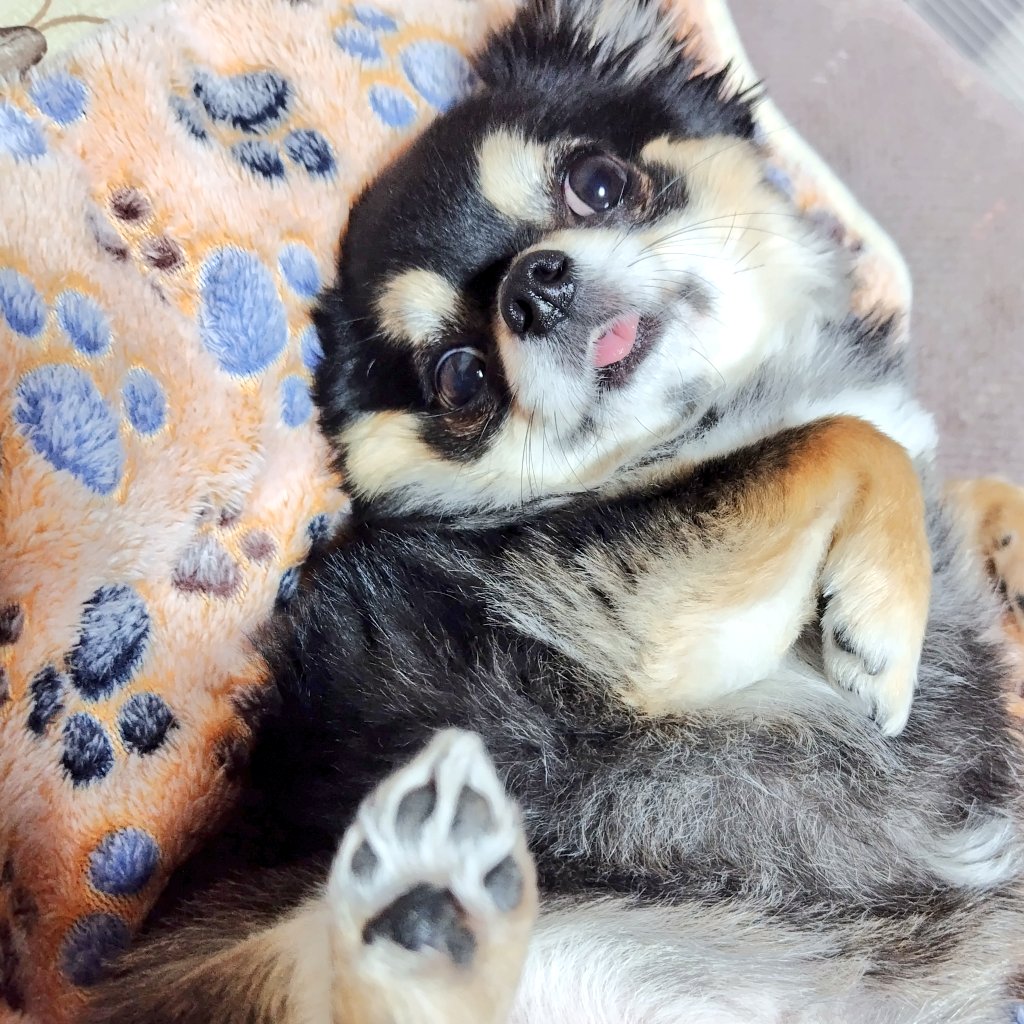 ユリ🌎🥜🍰🍟 (@vLS4ix67H5SJnmp) / Posts / X