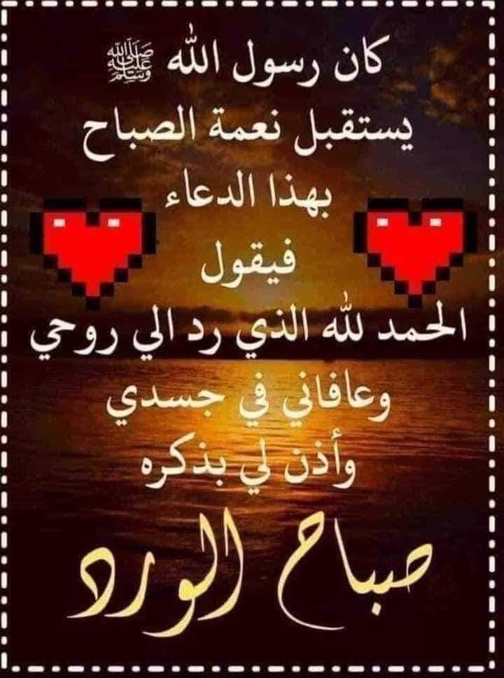 jawdat1978's tweet photo. @ltz_hla https://t.co/HYO6GCGUdq