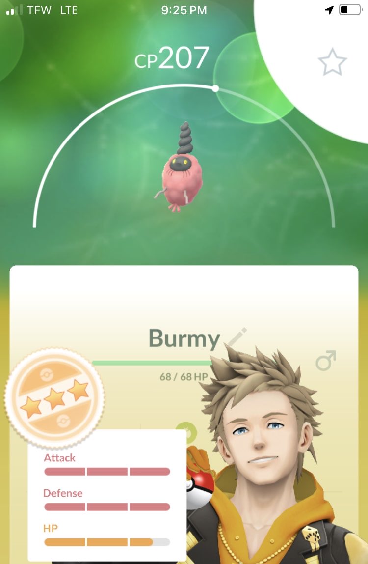 HoneyKUB 🐻 tweet media