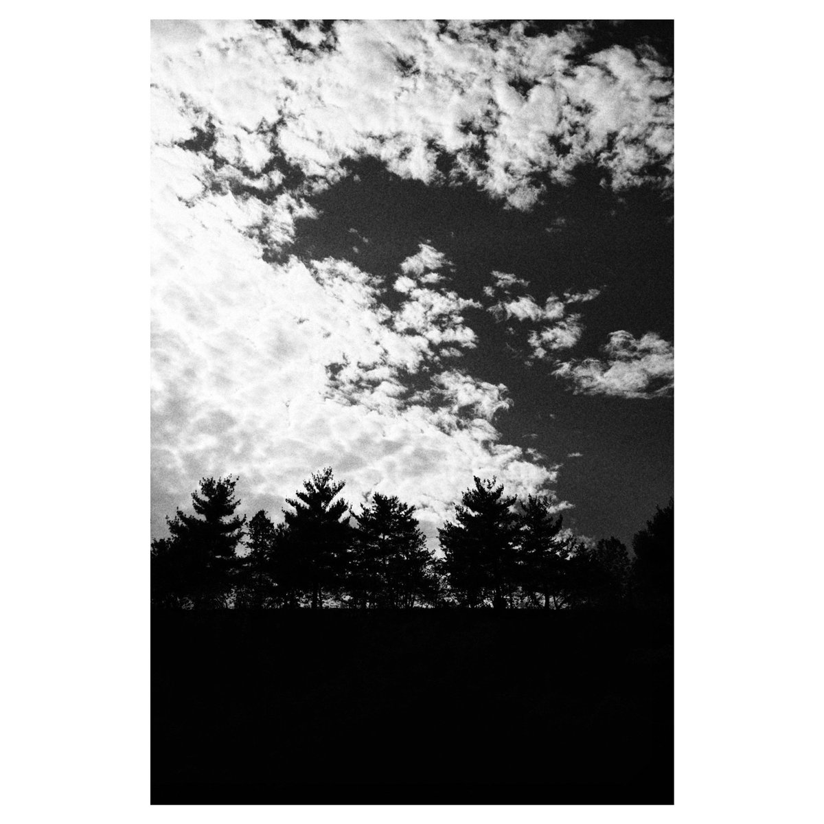 13 November 2025
Snap
📷 FUJIFILM X100V
Kodak Tri X-400
#x100v #fujifilm_xseries #trix400