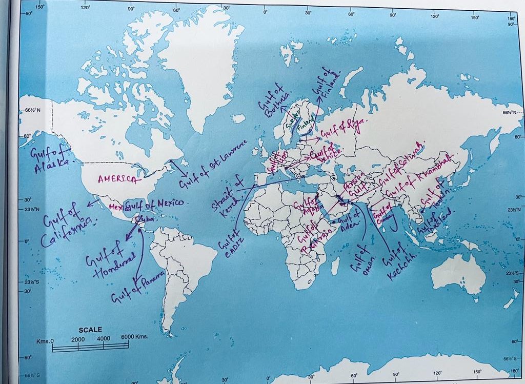 🔴 Major Gulf of the World

▪️ Gulf of Mexico
▪️Gulf of Alaska
▪️ Gulf of California
▪️Gulf of Honduras
▪️Gulf of Panama
▪️ Gulf of Saint Lawrence
▪️Gulf of cadiz 
▪️Gulf of lion
▪️ Gulf of bothnia 
▪️ Gulf of Venice
▪️Gulf of riga
▪️ Gulf of Finland
▪️Gulf of aqaba 
▪️Gulf of