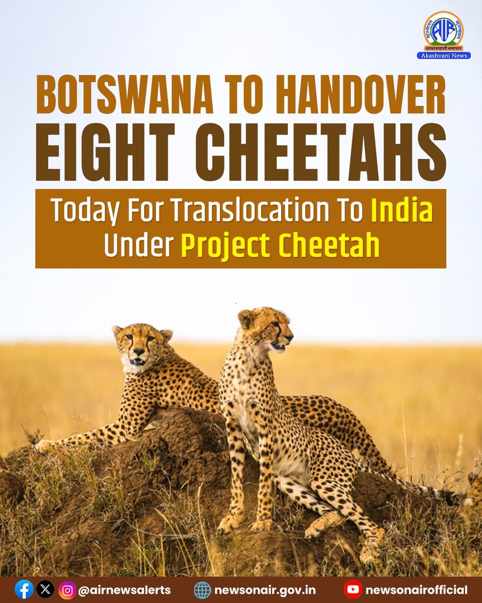 airnewsalerts's tweet image. Botswana to handover eight Cheetahs today for translocation to India under Project Cheetah. 

President #DroupadiMurmu thanks her counterpart, Duma Boko, for donating the cheetahs, marking a new chapter in India-Botswana cooperation. 

#India    #Botswana   #ProjectCheetah…