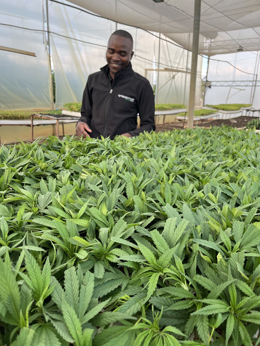 Afrostain Farmtech tweet media