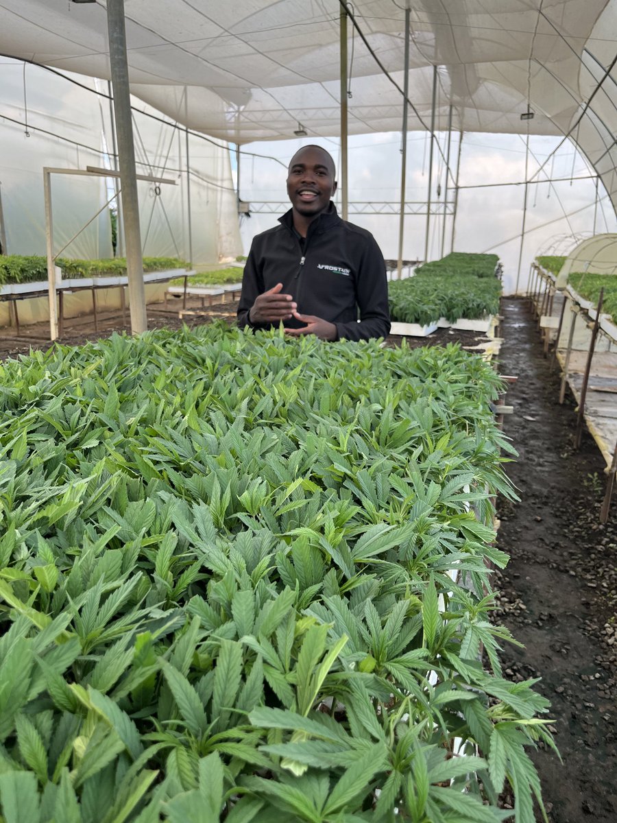 Afrostain Farmtech tweet media